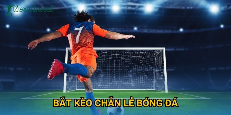 Bắt kèo chẵn lẻ bóng đá Keonhacai – Mẹo cược dễ hiểu cho người mới 10 Bắt kèo chẵn lẻ bóng đá Keonhacai – Mẹo cược dễ hiểu cho người mới