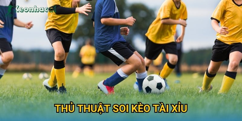 Thủ thuật soi kèo tài xỉu Keonhacai – Phân tích dữ liệu chuẩn xác 7 Thủ thuật soi kèo tài xỉu Keonhacai – Phân tích dữ liệu chuẩn xác