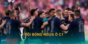 Đội bóng ngựa ô C1 mùa này là ai – Kèo nhà cái chỉ điểm những cái tên bất ngờ nhất